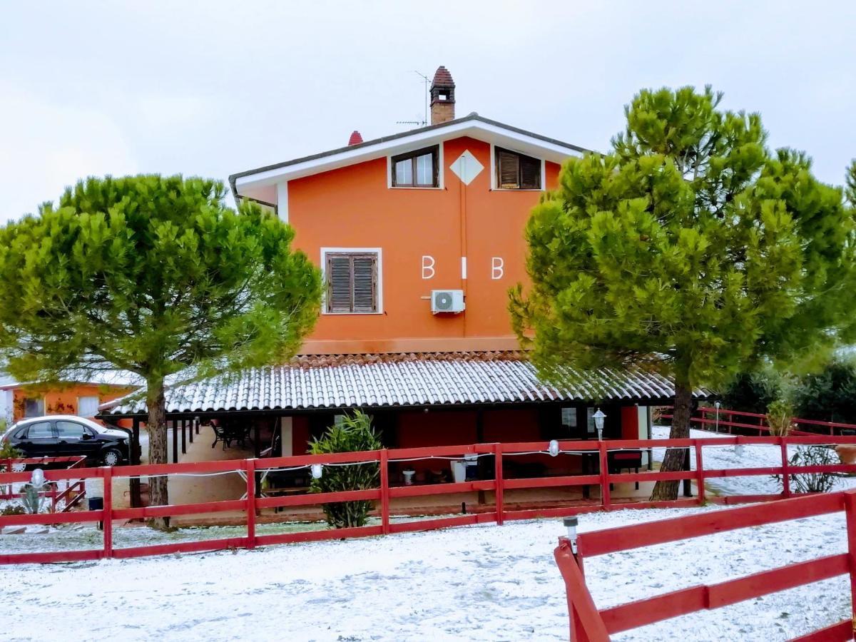 B&B Gli Amici Del Tubarello Roseto Degli Abruzzi Exteriör bild