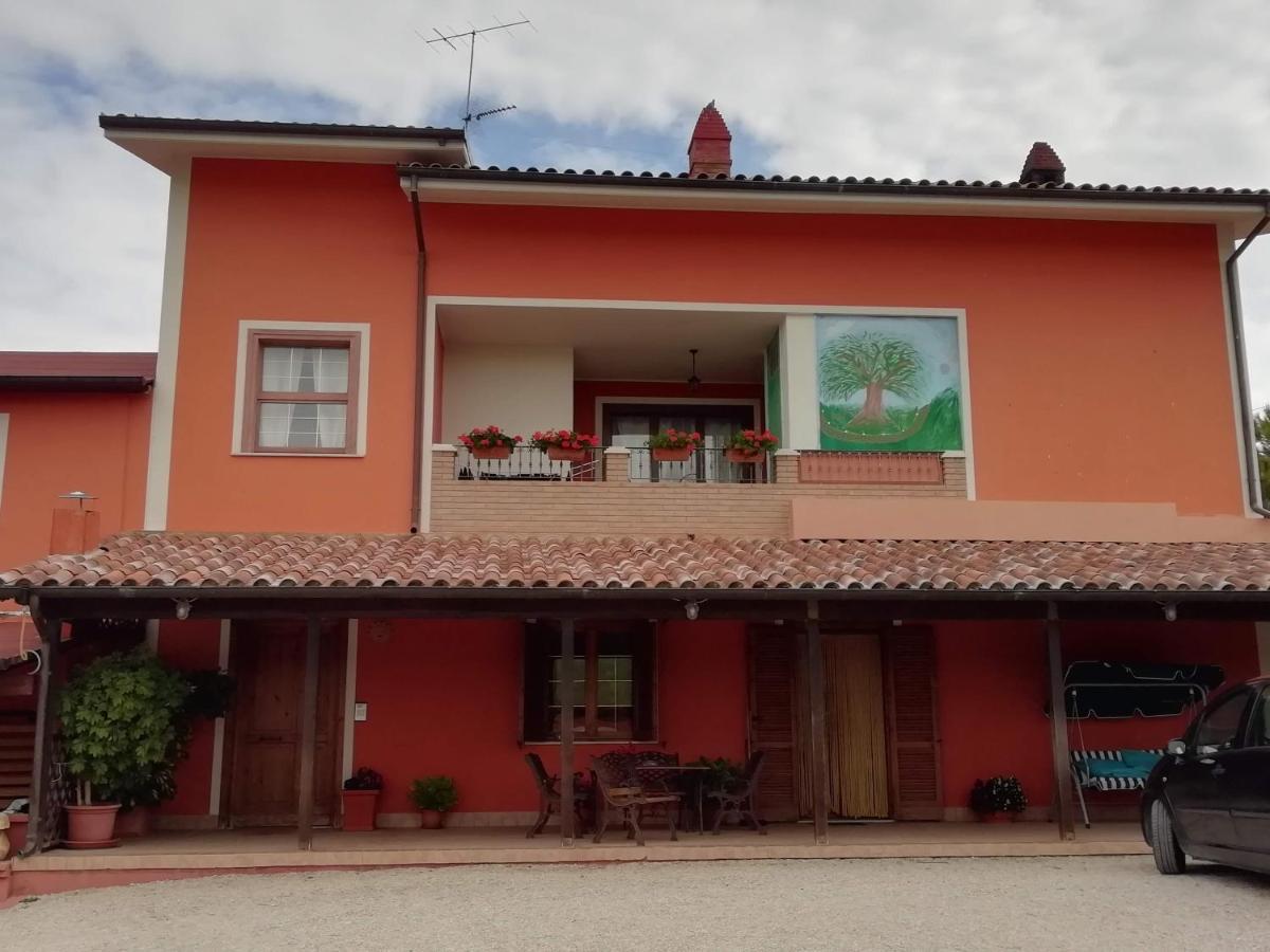 B&B Gli Amici Del Tubarello Roseto Degli Abruzzi Exteriör bild