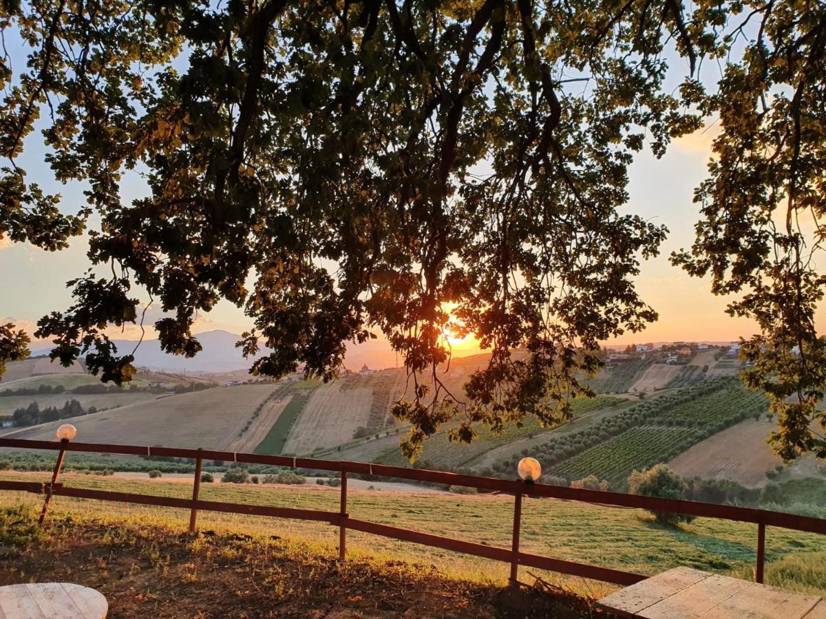 B&B Gli Amici Del Tubarello Roseto Degli Abruzzi Exteriör bild