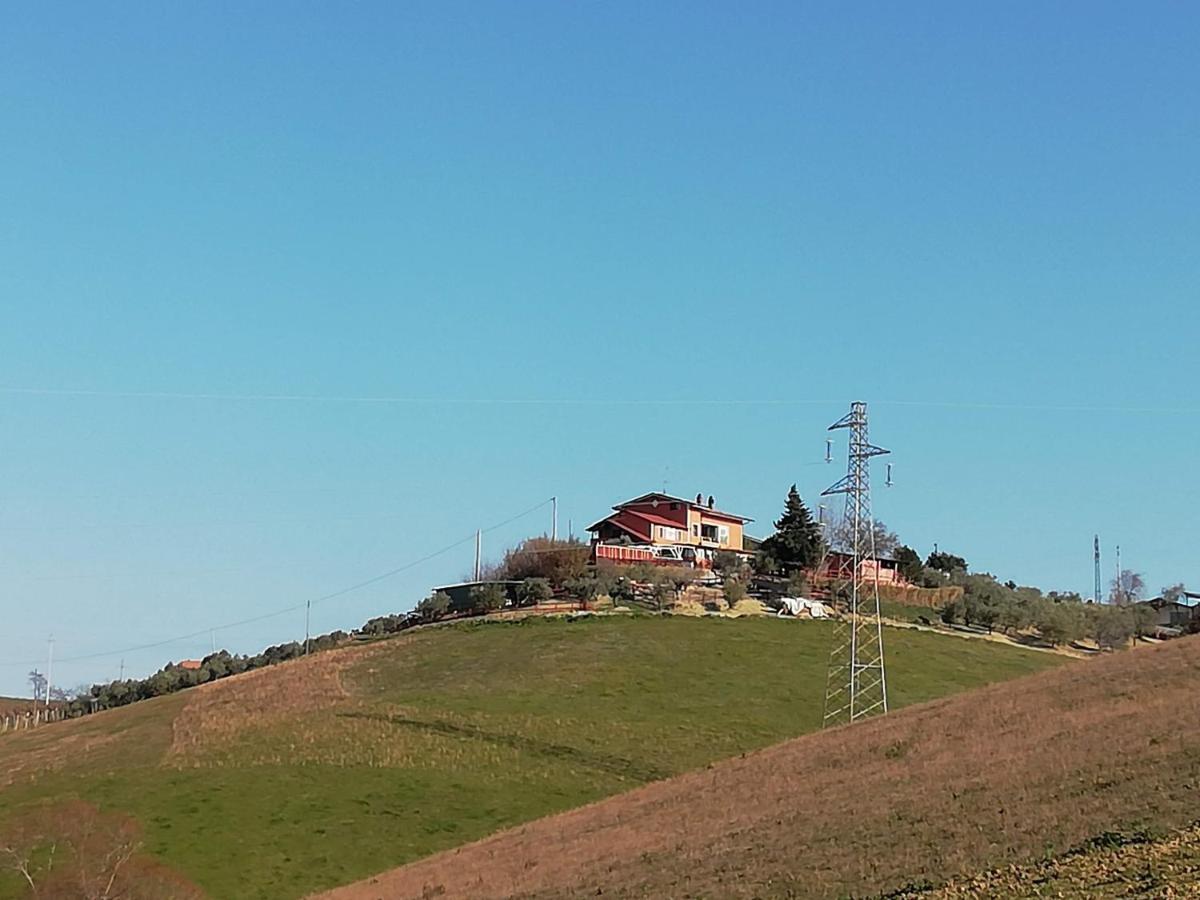 B&B Gli Amici Del Tubarello Roseto Degli Abruzzi Exteriör bild