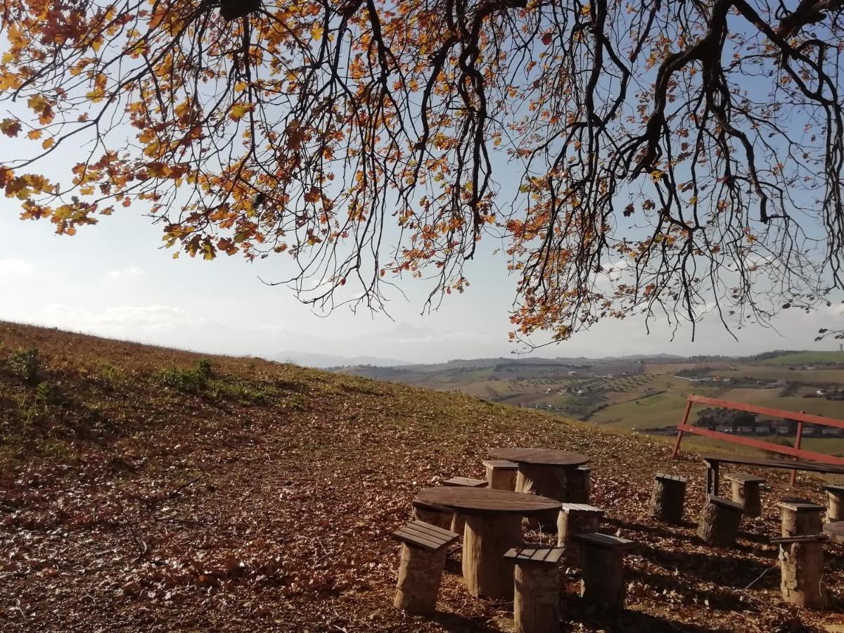 B&B Gli Amici Del Tubarello Roseto Degli Abruzzi Exteriör bild