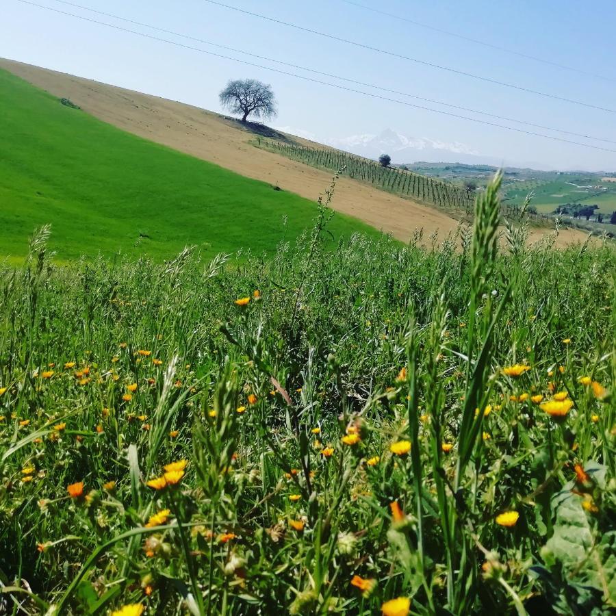 B&B Gli Amici Del Tubarello Roseto Degli Abruzzi Exteriör bild