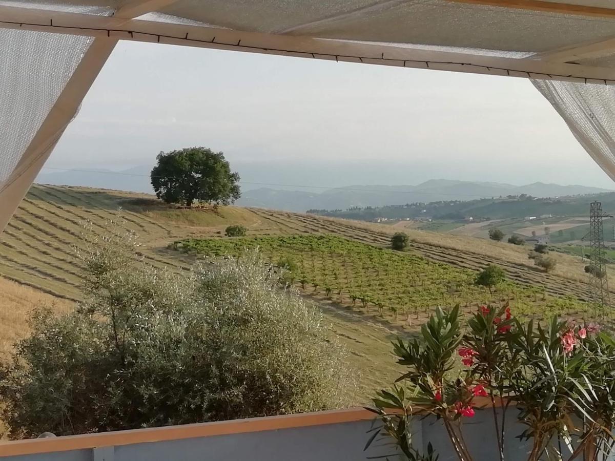 B&B Gli Amici Del Tubarello Roseto Degli Abruzzi Exteriör bild