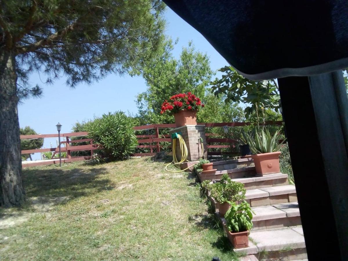 B&B Gli Amici Del Tubarello Roseto Degli Abruzzi Exteriör bild