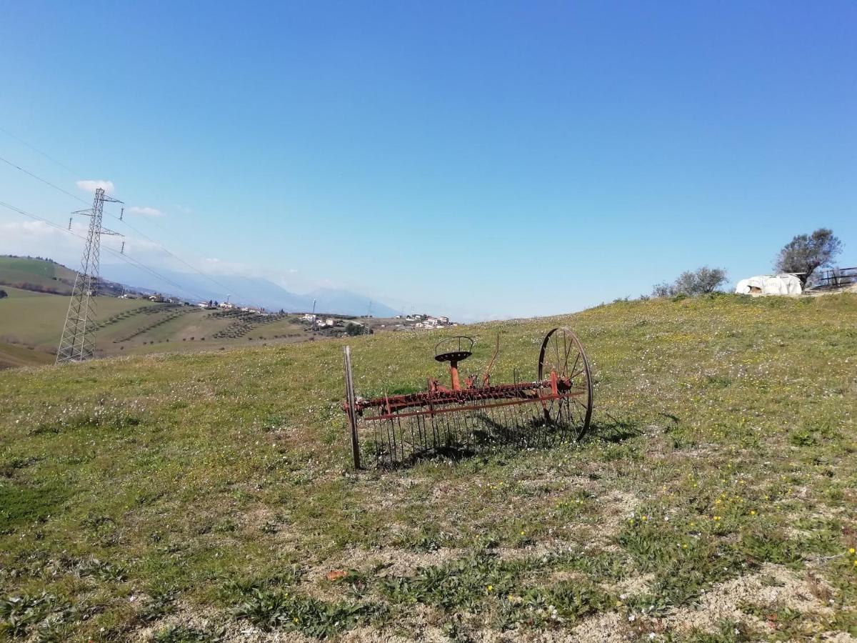 B&B Gli Amici Del Tubarello Roseto Degli Abruzzi Exteriör bild