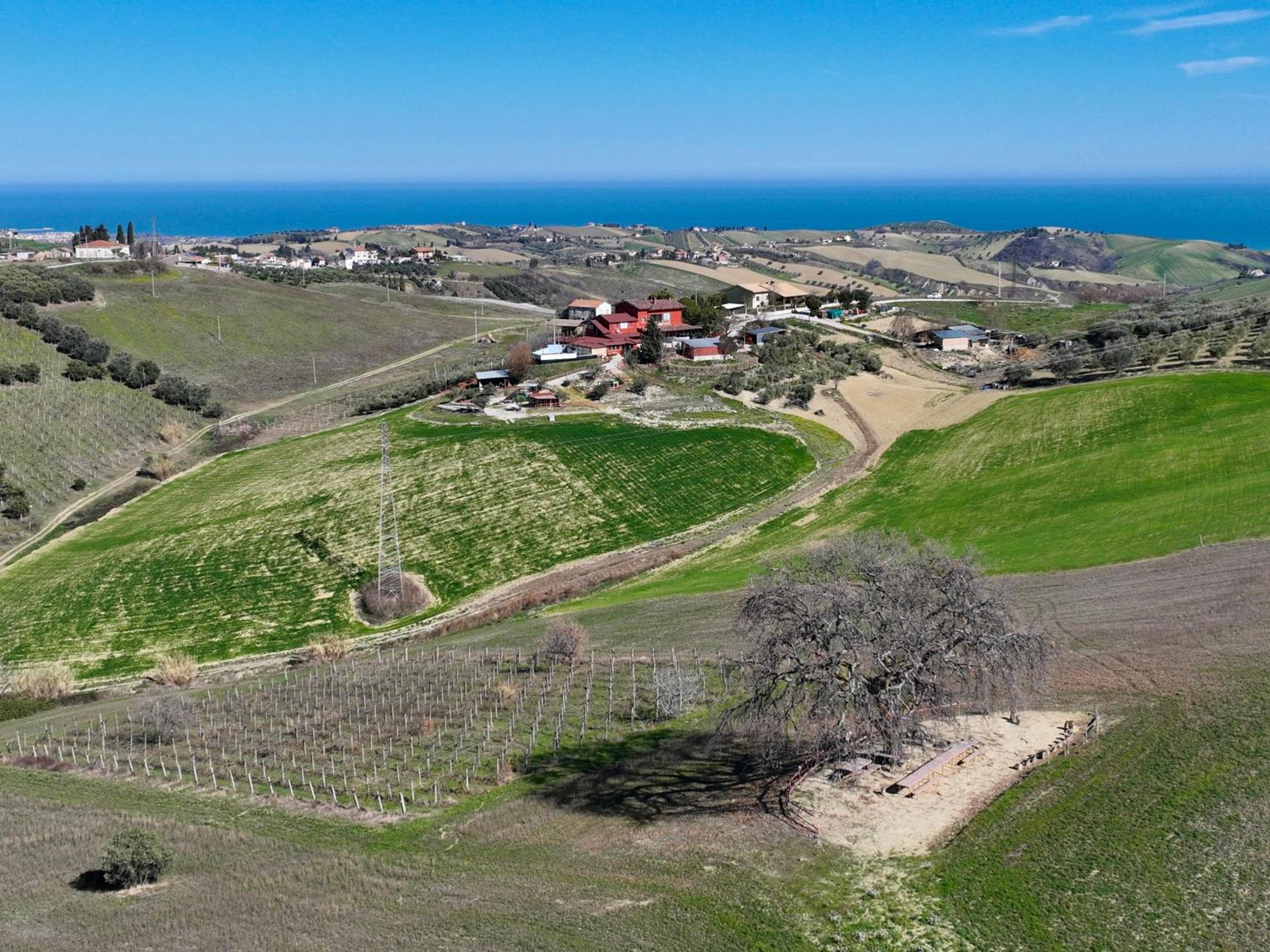 B&B Gli Amici Del Tubarello Roseto Degli Abruzzi Exteriör bild
