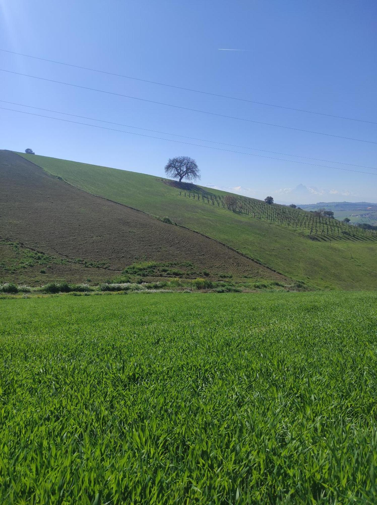 B&B Gli Amici Del Tubarello Roseto Degli Abruzzi Exteriör bild